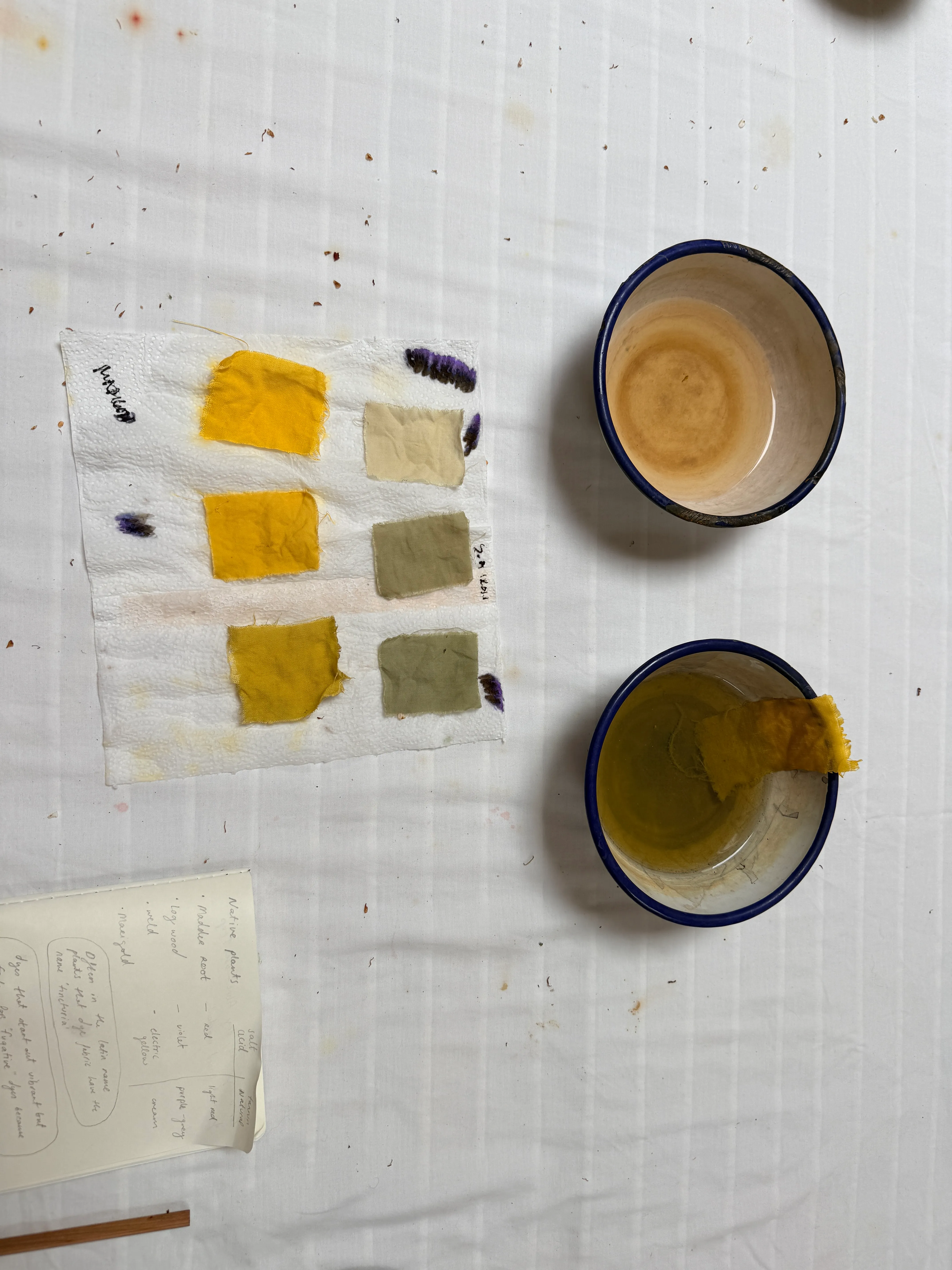 Silk Dying: a Preparatory Workshop — gallery image