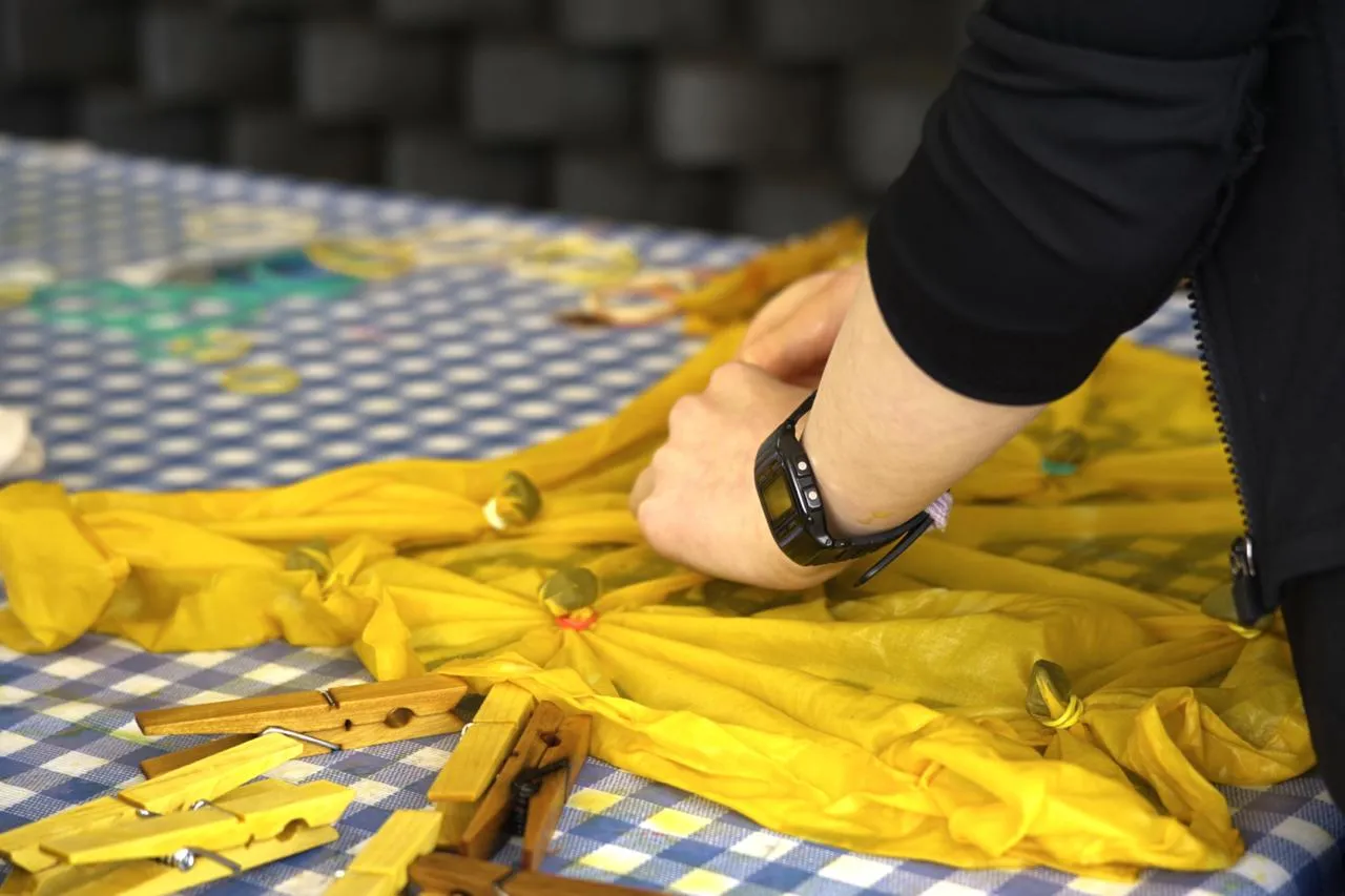 Plant Dyes & Botanical Flag Making — gallery image
