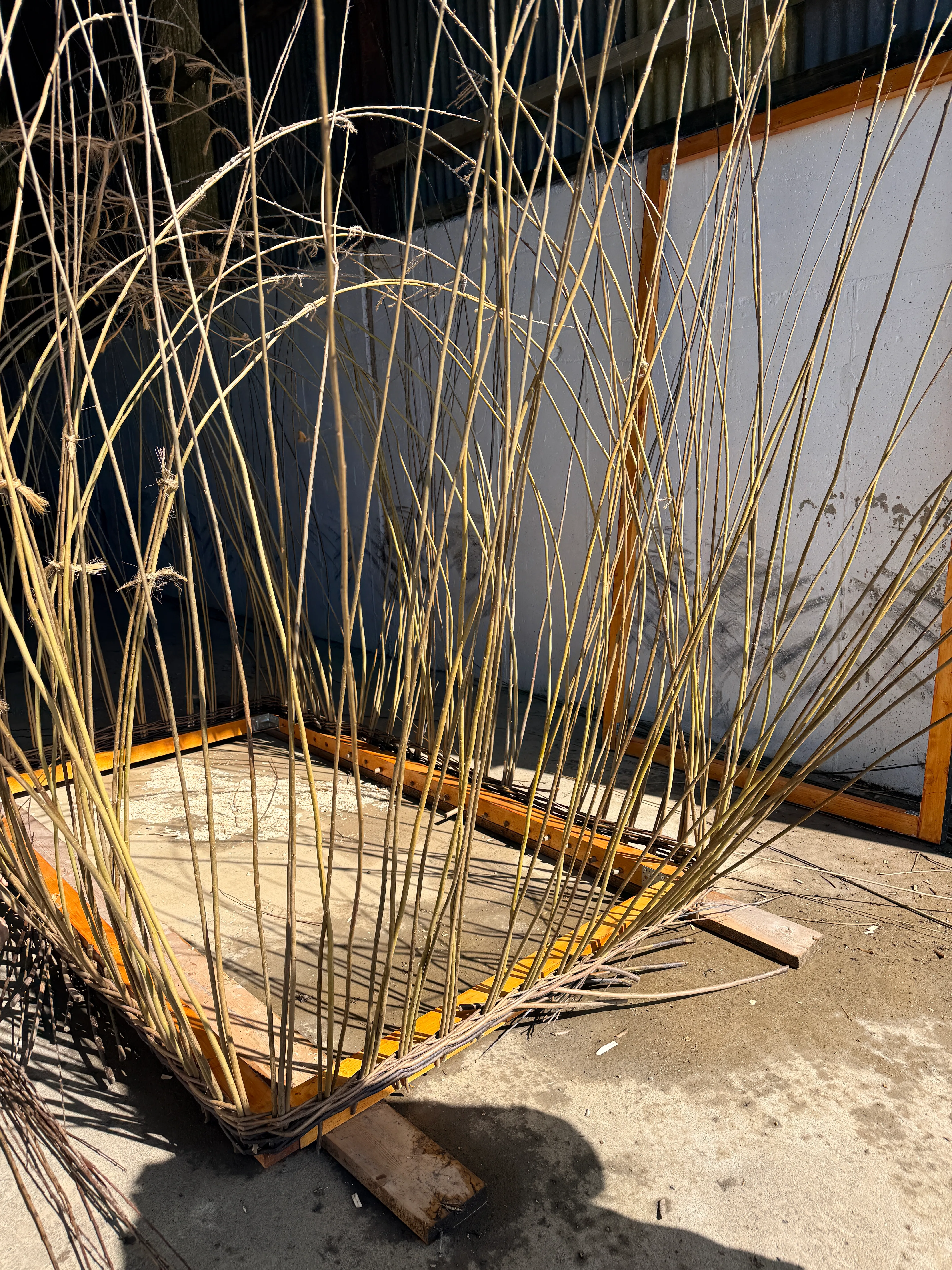 Garden Shed as a Basket: Making a Willow Shed - Phase 02 — gallery image