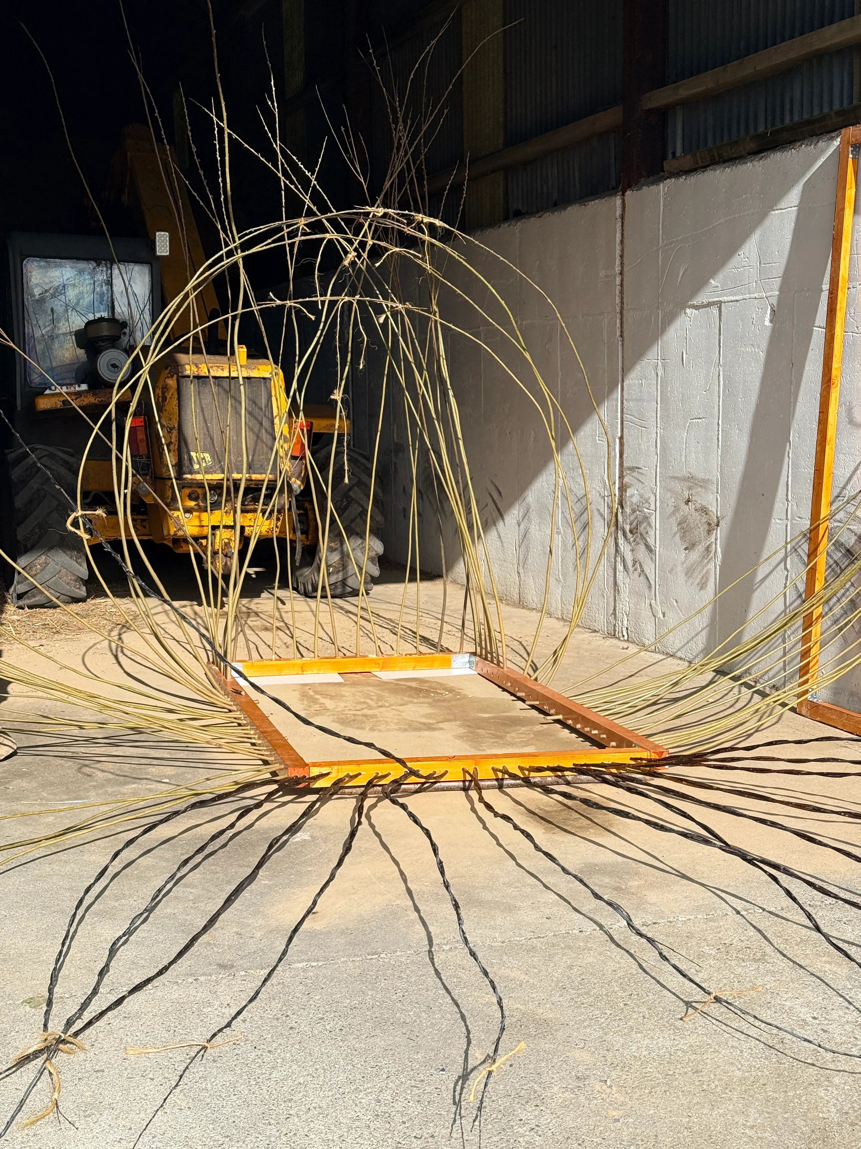 Garden Shed as a Basket: Making a Willow Shed - Phase 01 — gallery image
