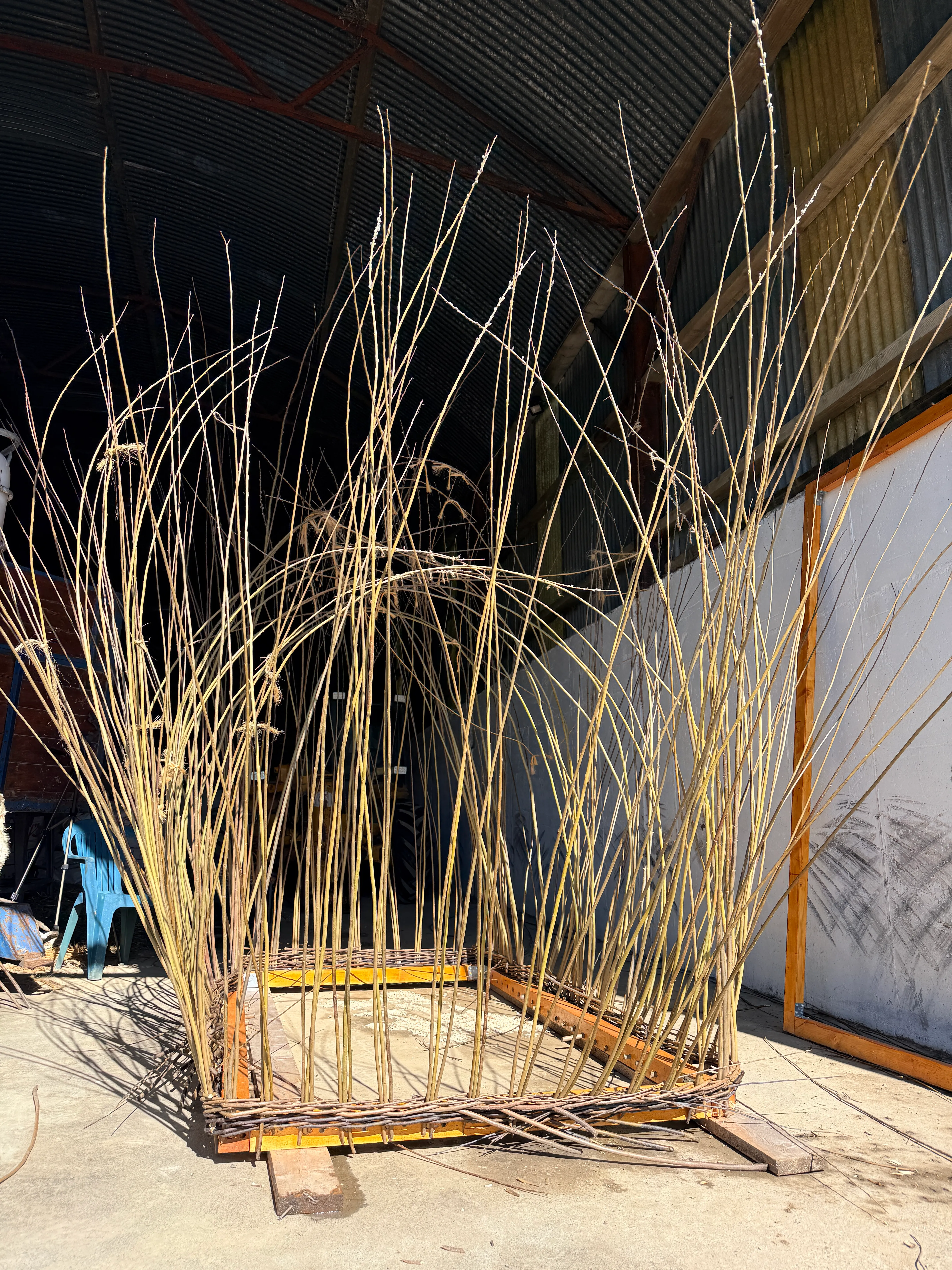 Garden Shed as a Basket: Making a Willow Shed - Phase 02 — gallery image
