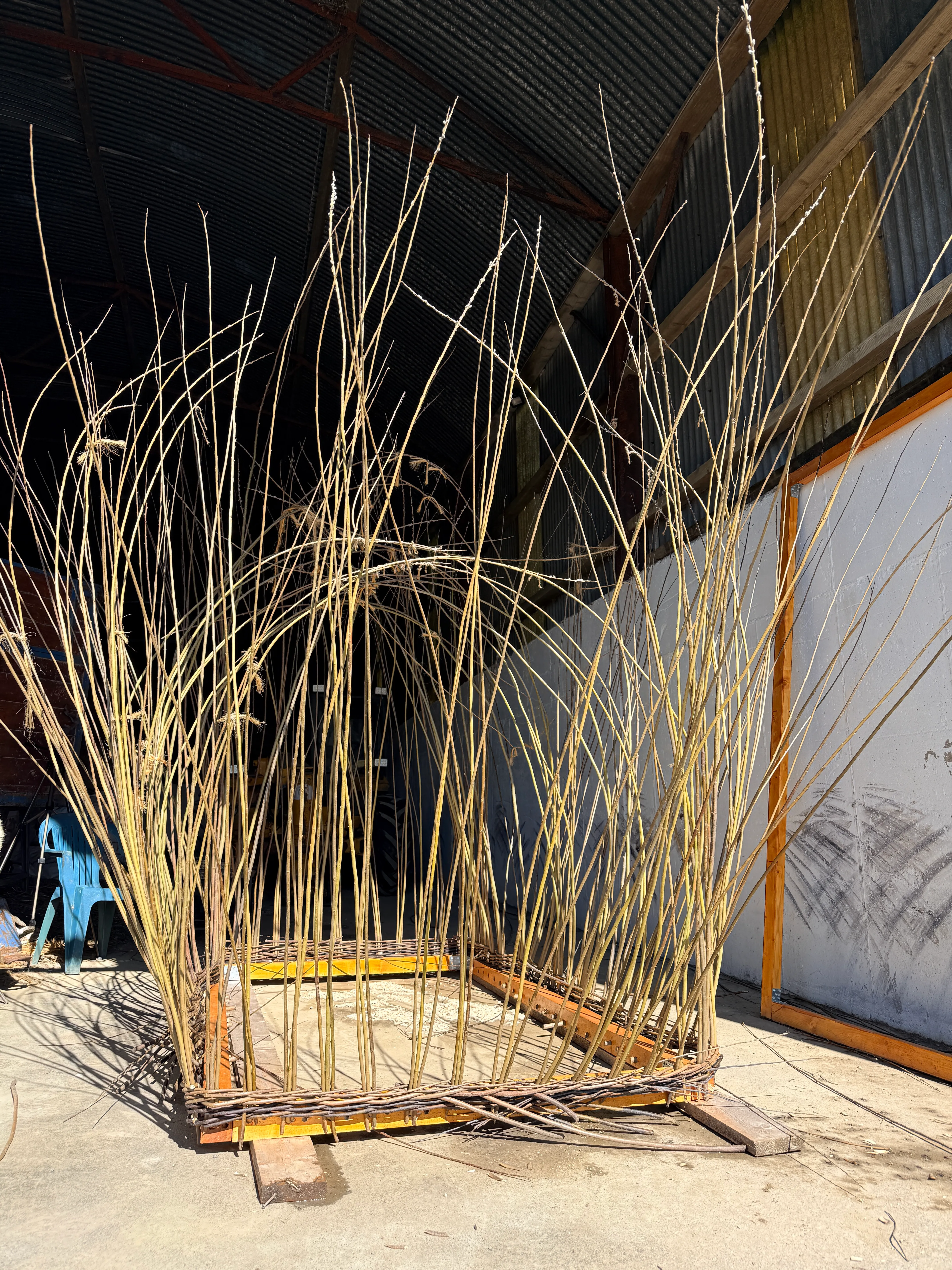 Garden Shed as a Basket: Making a Willow Shed - Phase 01