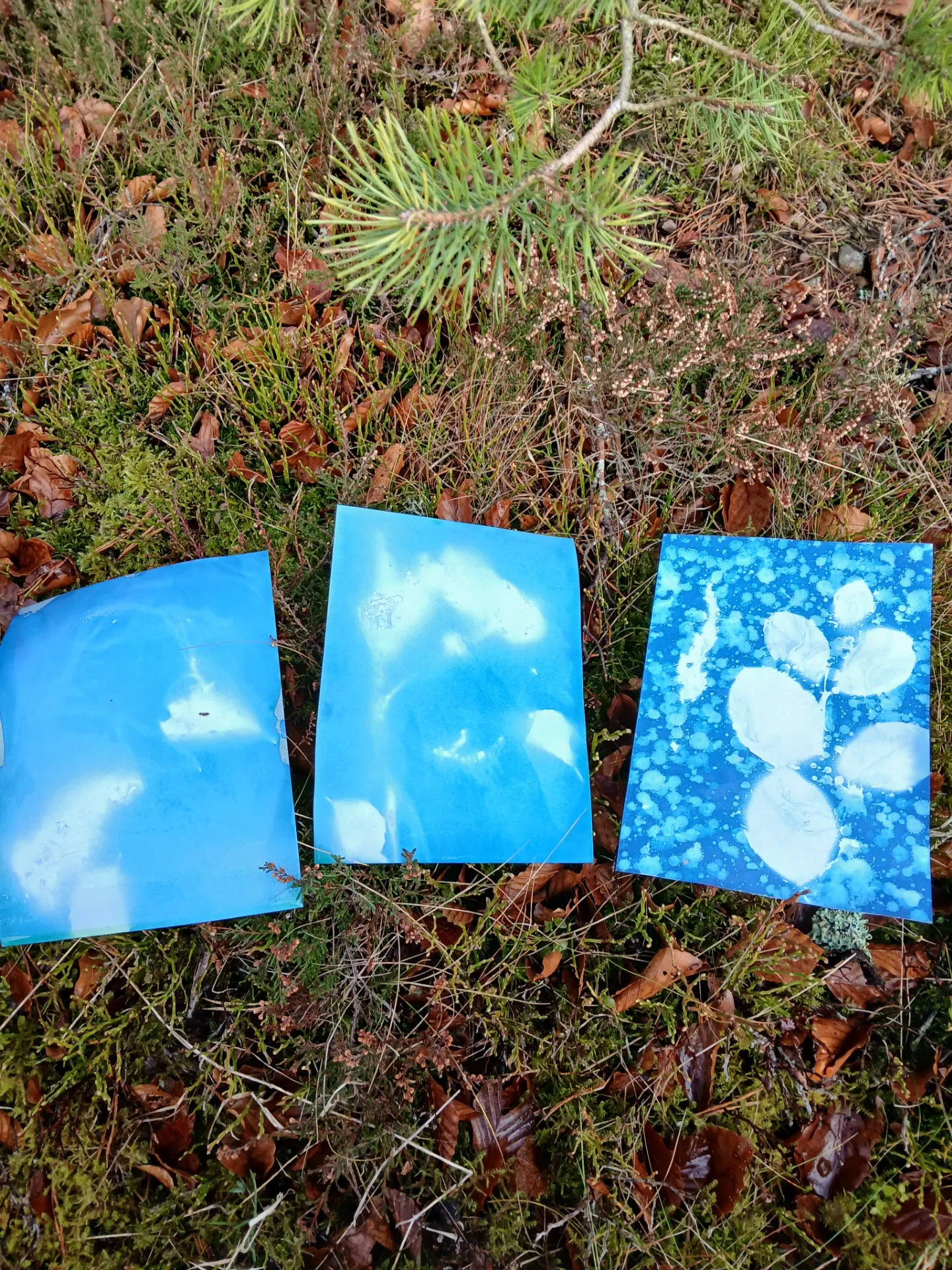 Sun Printing Workshop