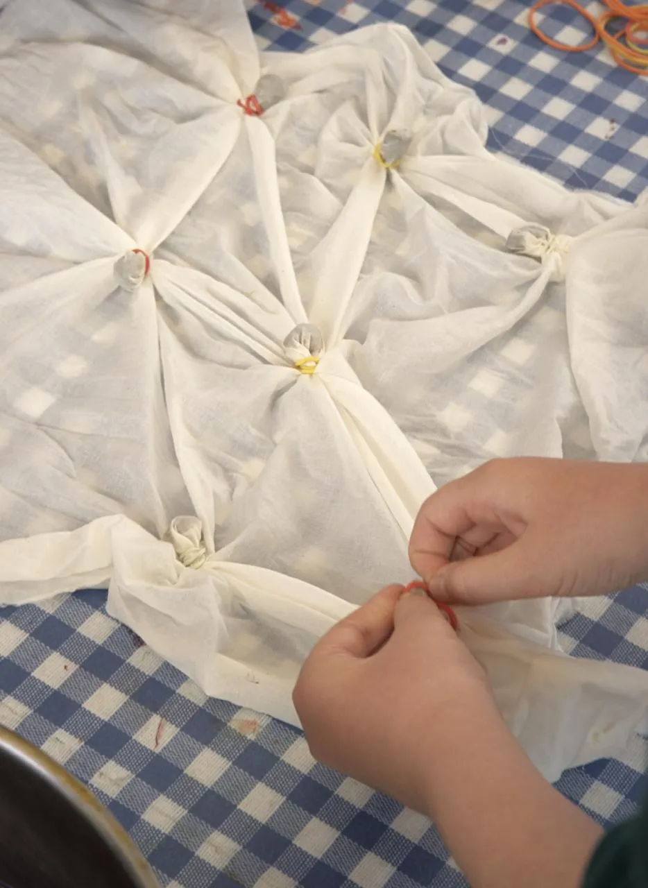 Textiles Workshop: Plant Dyes from your kitchen leftovers