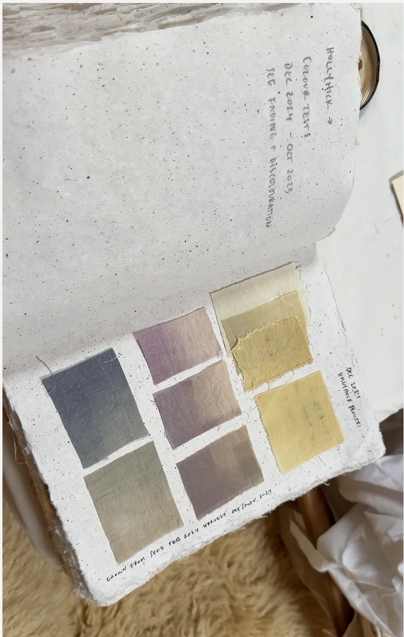 Silk Dying: a Preparatory Workshop
