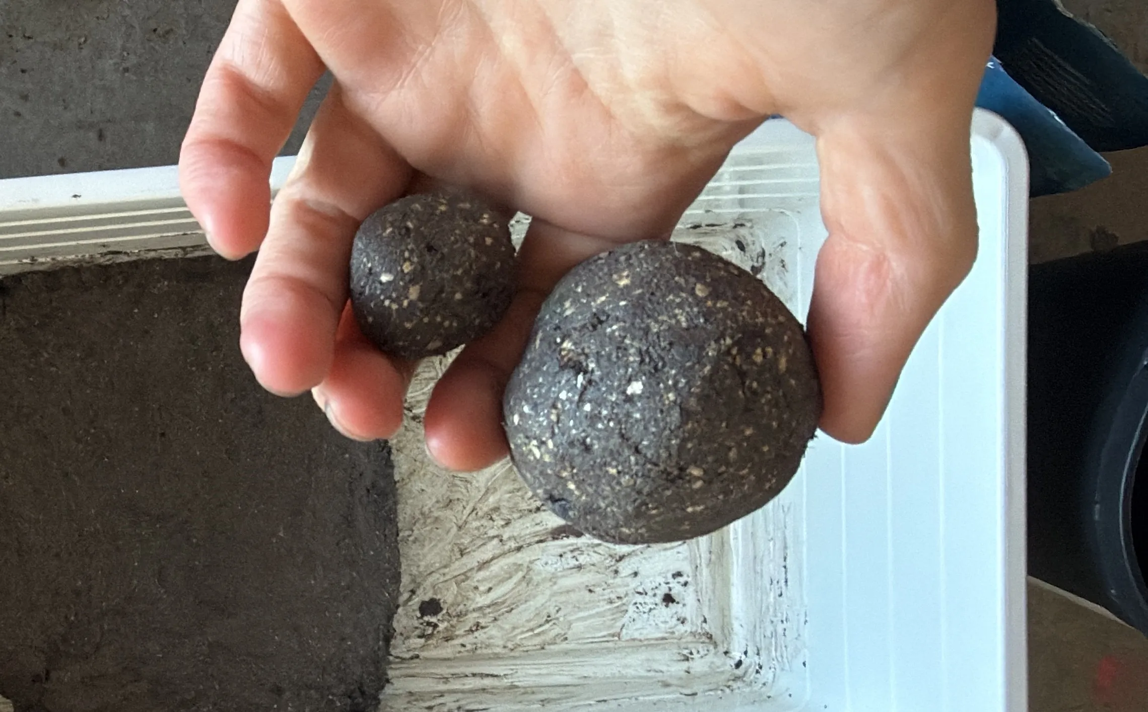 Seed bomb making