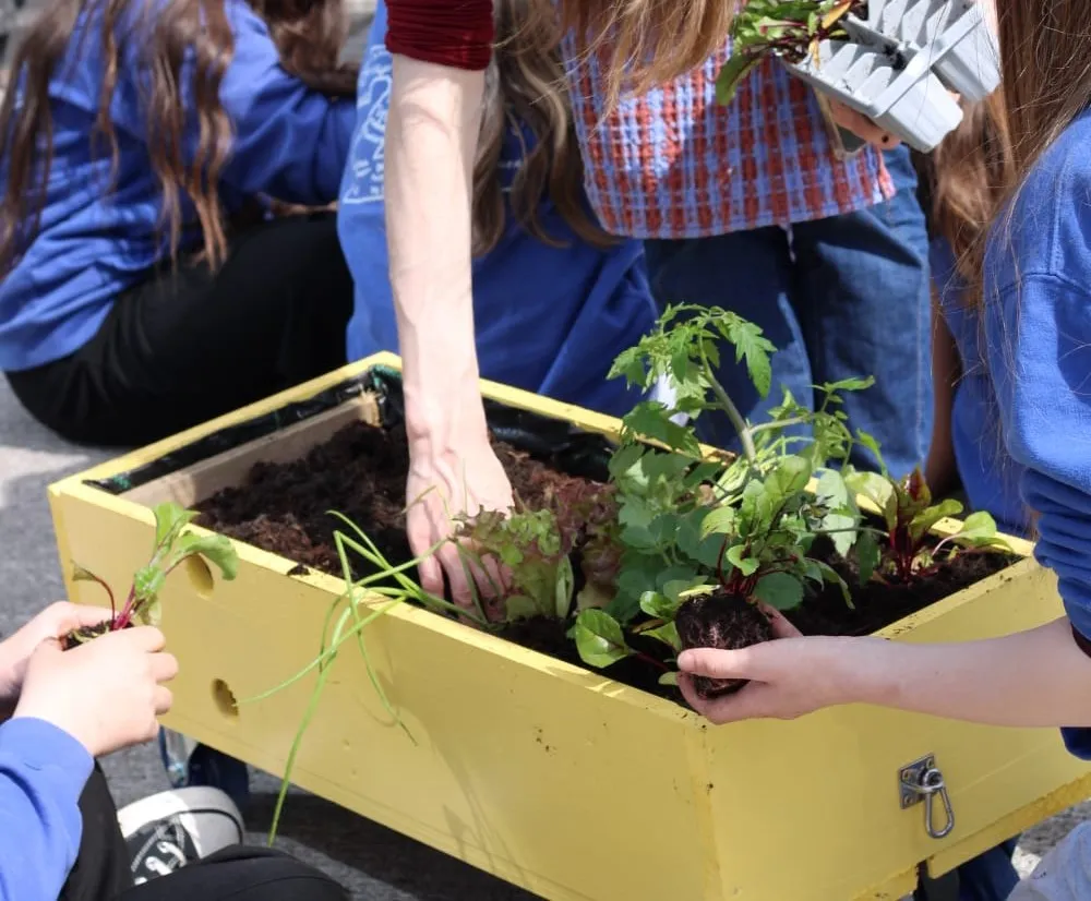 Hands in the Soil: Planting at Dominic’s