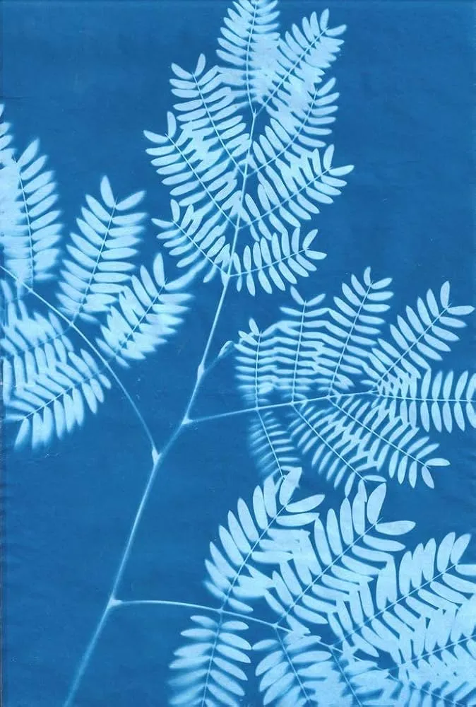 Sun Printing Drop-in